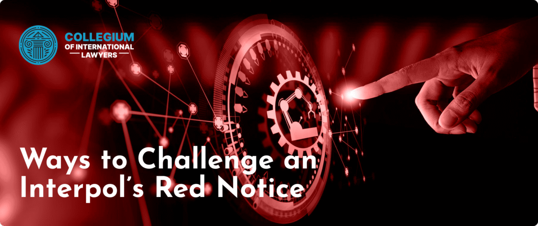 Interpol's Role in Financial Operations Control 375826172